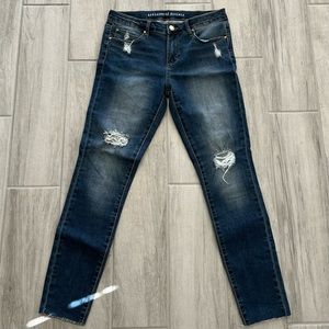 Articles of Society Distressed Skinny Jeans